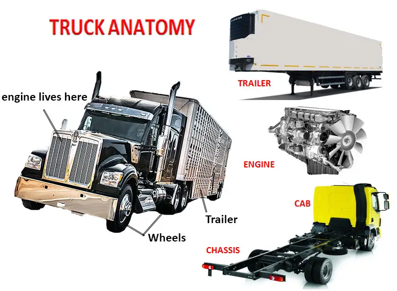 Truck Anatomy | Car Anatomy in Diagram