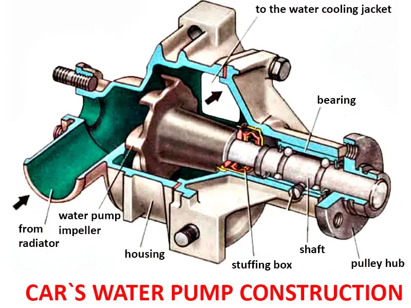 Engine Water Pump Construction