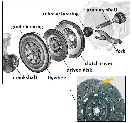Clutch Anatomy