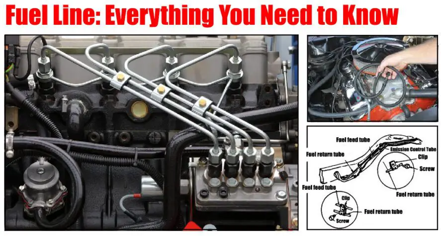 Fuel Line Diagram  Car Anatomy in Diagram