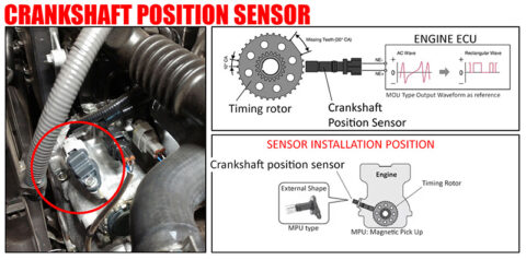 Crankshaft Position Sensor Car Anatomy