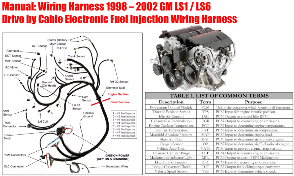 Electronic Fuel Injection Wiring Harness