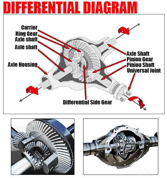 Differential Diagram Car Anatomy